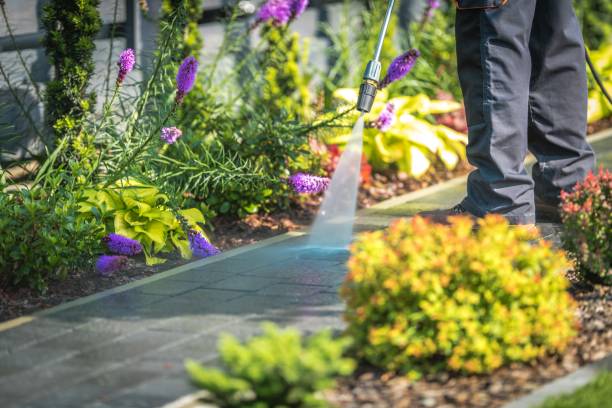 Best Driveway Pressure Washing  in Fort Stockton, TX