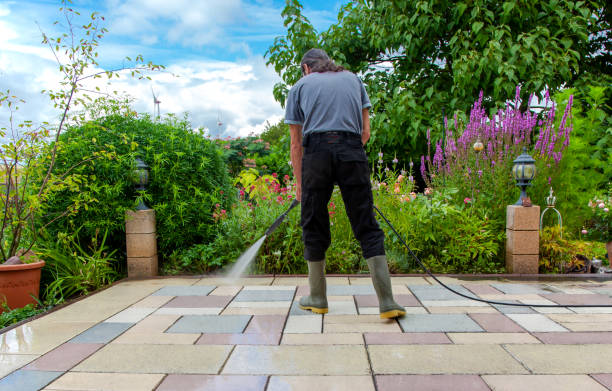 Best Animal Enclosure Cleaning  in Fort Stockton, TX